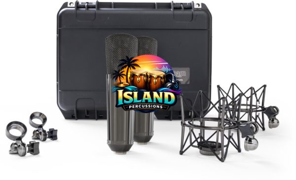 Warm Audio WA-87 R2 TS Titanium Condenser Microphones Stereo Pair
