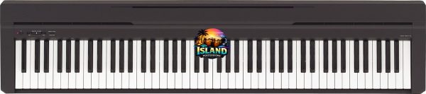 Yamaha P-45 Digital Piano